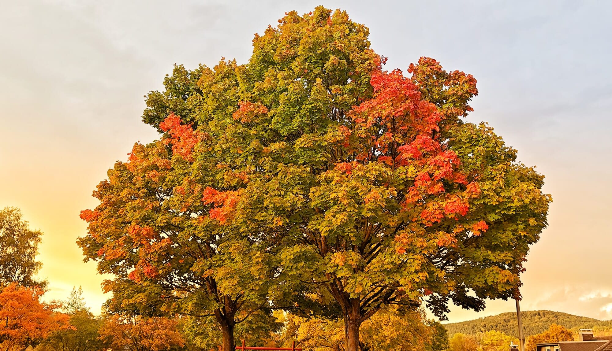 Herbst 2025